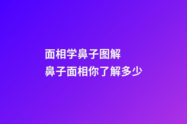 面相学鼻子图解  鼻子面相你了解多少